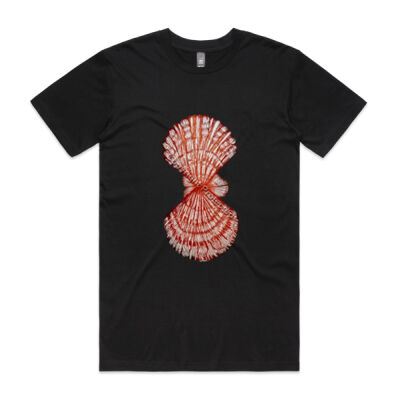 Scarlet Scallop Basic Tee Scarlet Scallop Basic Tee Thumbnail